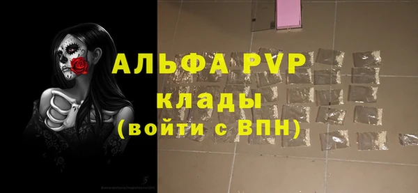 амф Верхний Тагил