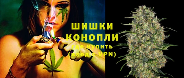 амф Верхний Тагил