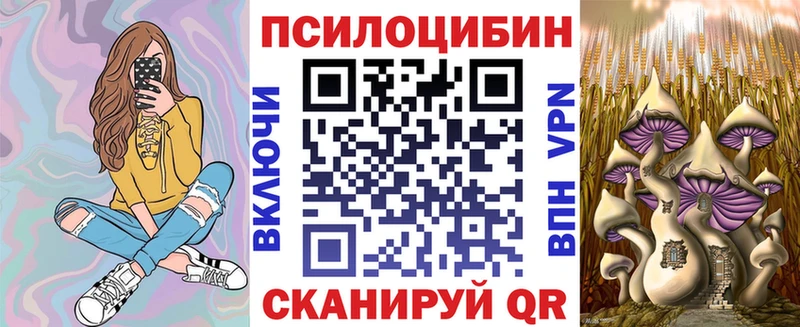 где продают наркотики  Вятские Поляны  Псилоцибиновые грибы Magic Shrooms 